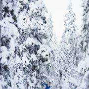 Flamenco in blue – Vancouver Cypress Mountain