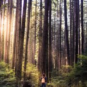 Pacific Spirit Park.BC