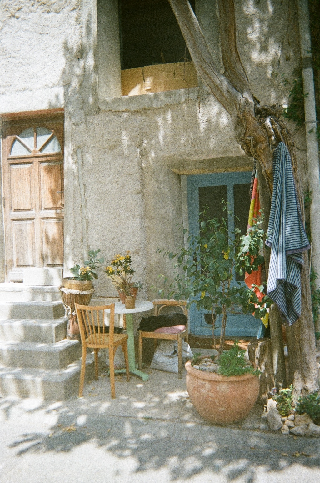 A cat is sleeping. The south of France. On film camera