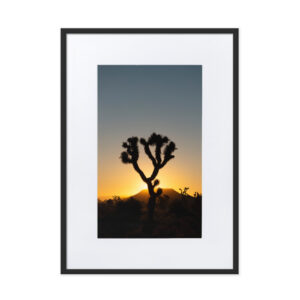 Sunset at Joshua Tree – Framed Print